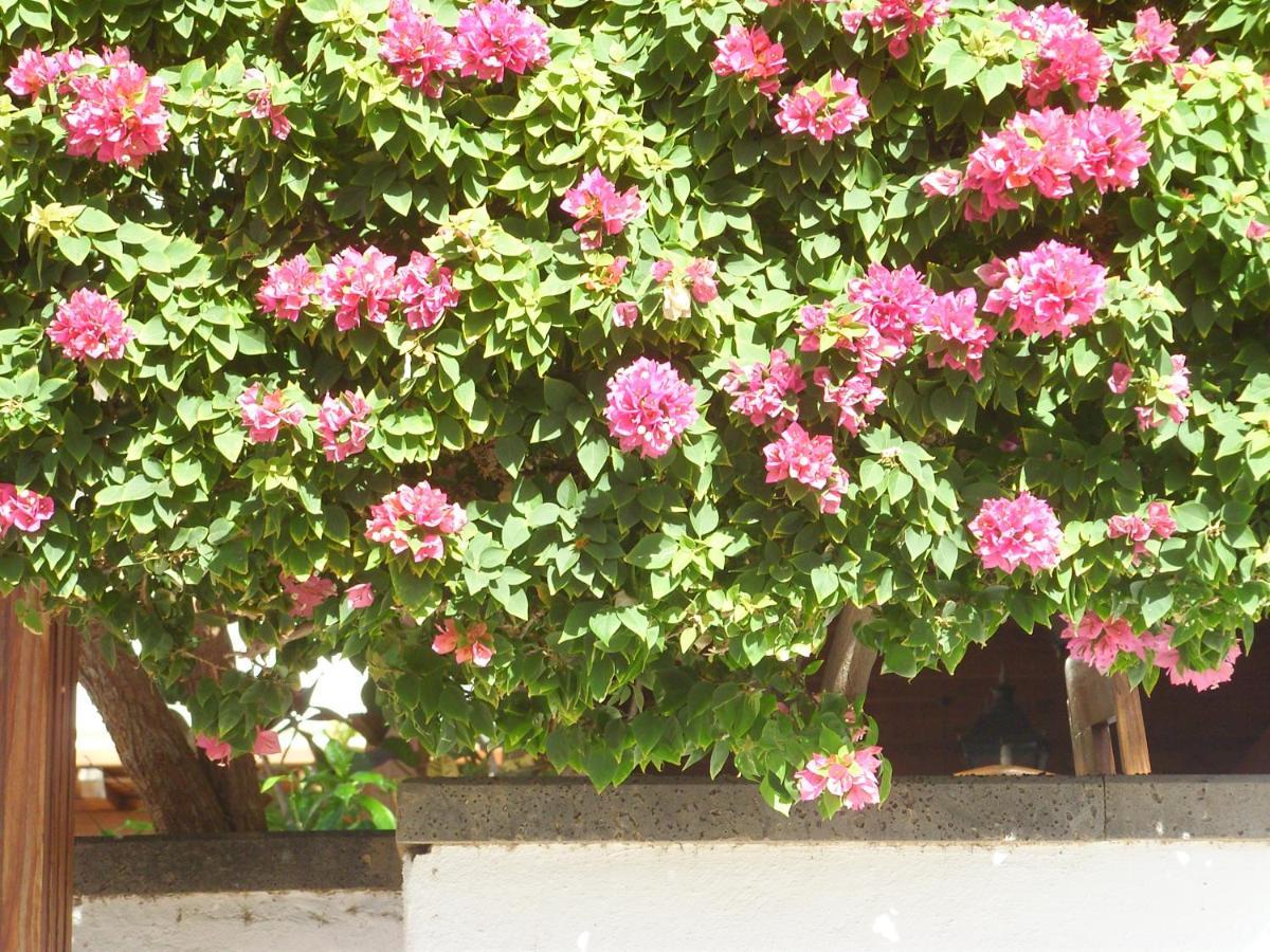 Casa La Tahonilla Apartment