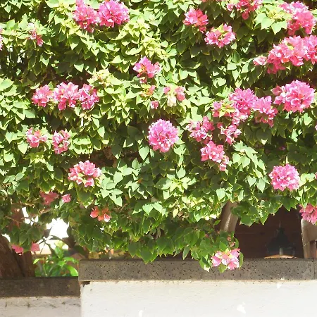 Appartement Casa La Tahonilla à Tías Extérieur photo